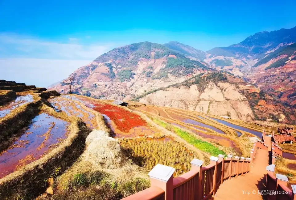 1_Xinshan Terraced Fields