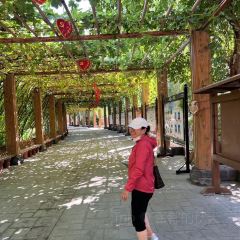 巴依先生主题新疆菜 User Photo