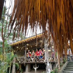 佤王宴(景洪分店) User Photo