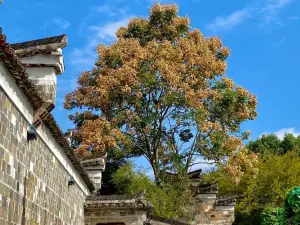 Xianxia Ancient Road