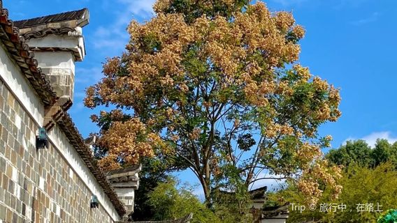 Xianxia Ancient Road