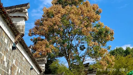 Xianxia Ancient Road