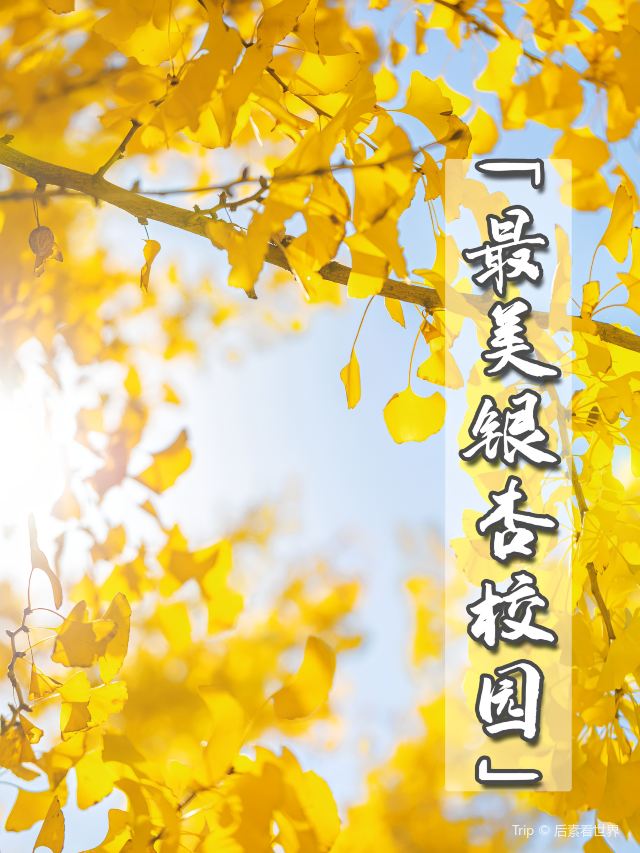신광촌