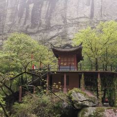 世外桃源 User Photo