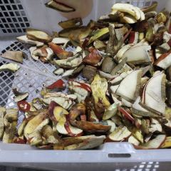 寻常宴野生菌火锅 ảnh của người dùng