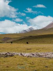 Baga Village, Yangbajing Town, Dangxiong County, Lhasa