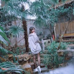 南蘇院 User Photo