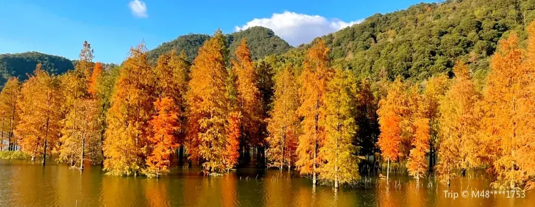 Fall Viewing Attractions