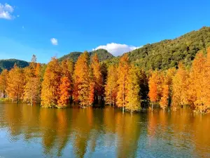 Popular Fall Viewing Attractions in Cixi