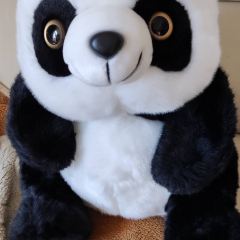 北京果木烤鸭(郯城店) User Photo