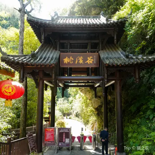 巴山大峽谷景區-桃溪谷景區