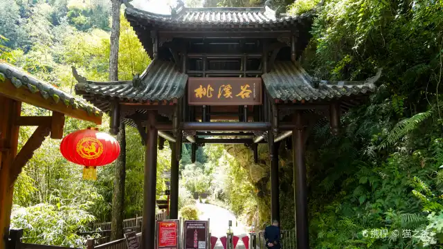 巴山大峽谷景區-桃溪谷景區