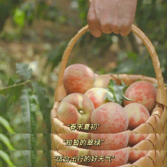 五德酒家 여행 사진