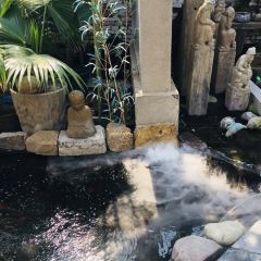 盖伦的院 User Photo
