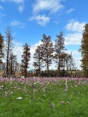 Dengdou Ecology Wetland Park