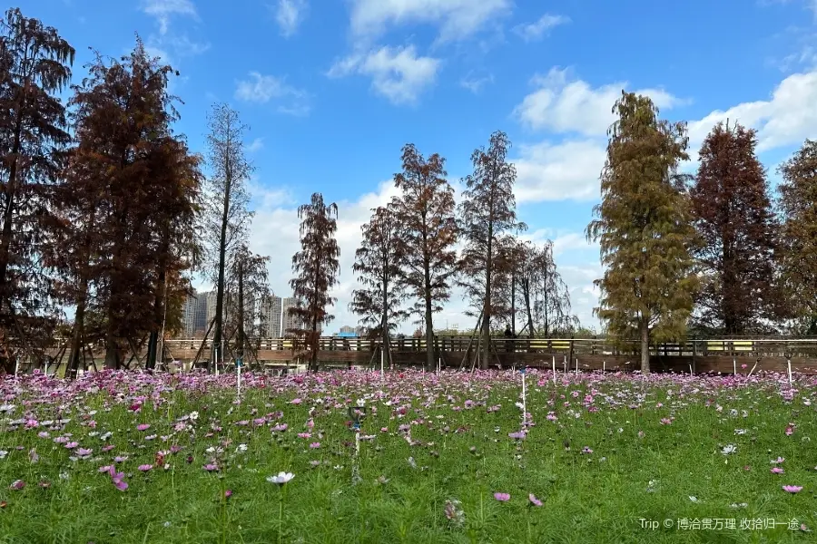 Dengdou Ecology Wetland Park