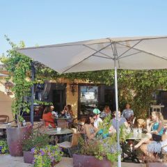 Sant Francesc User Photo