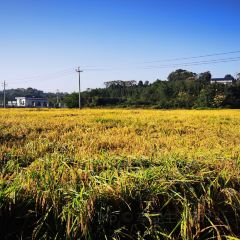 姐妹土菜馆(马鬃岭店) User Photo
