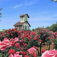 Wanhuagu Rose Manor User Photo