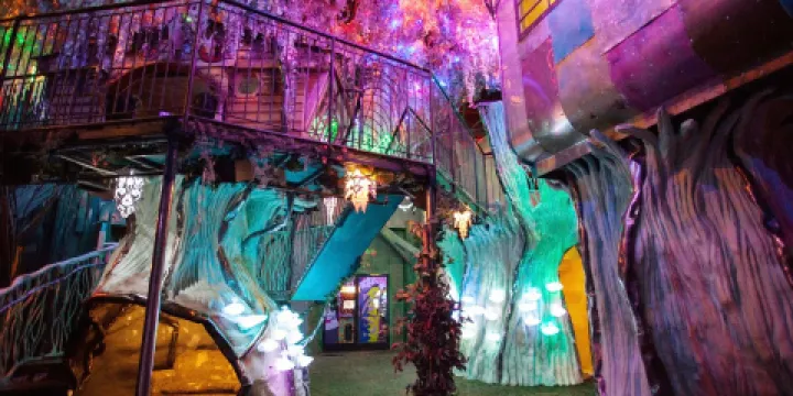 Meow Wolf