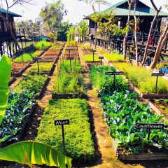 Inle Heritage 여행 사진
