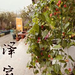 泽家·花园餐厅(十年的店) User Photo