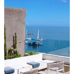 岛语plus User Photo