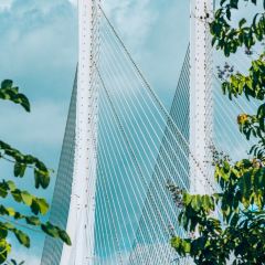 竹園中餐廳張用戶圖片