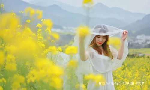 Wuyuan Scenic Area