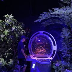 Tenka User Photo