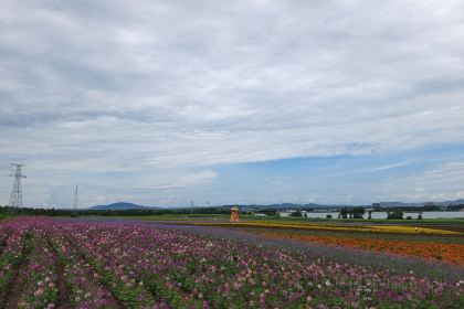 萨日娜阿妈蒙餐店