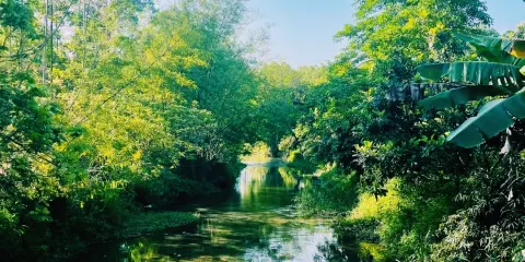 白水寨鄉村生態公園