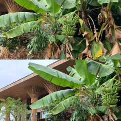 岭澜食尚 User Photo