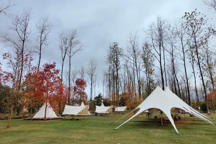金鱼妈妈山野·食趣(荫山街店)