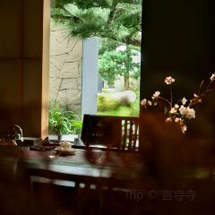 武夷山观蓝舒苑空间·餐厅 User Photo