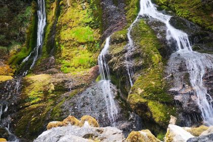 Cao Ji Xian Wei Restaurant