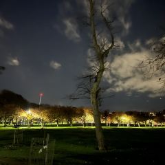 Söderberg The Meadows User Photo