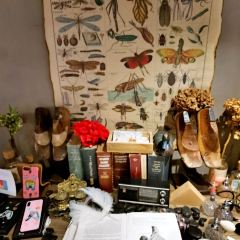 上海The Drama酒店·Le Pump樂汸西餐厅&酒馆 User Photo