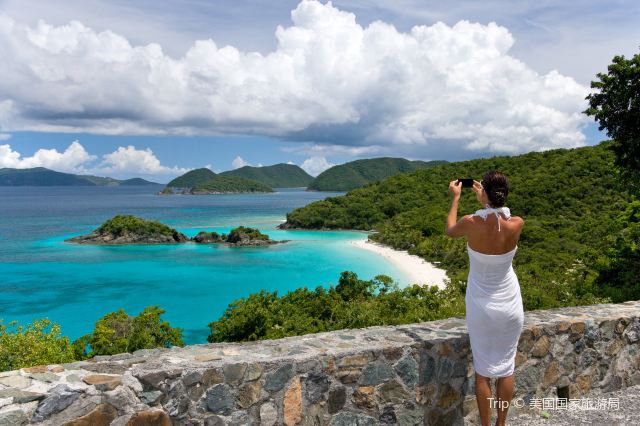 Trunk Bay