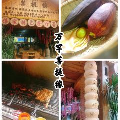 万罕菩提缘 User Photo