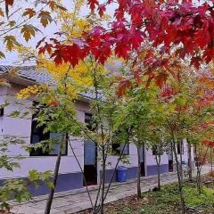 枫林小居 User Photo