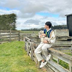 Tussock Hill Vineyard and Cellar Door Restaurant 여행 사진