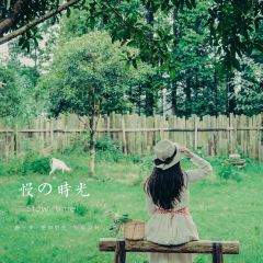 Fanpu Life User Photo