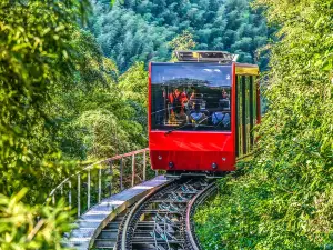 Nanshan Bamboo Sea Tram