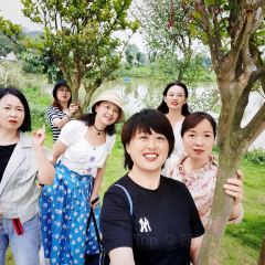 鲜道幸福里(重庆路店) User Photo