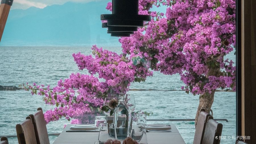 DREAM ISLAND Restaurant