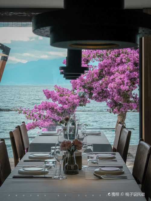 DREAM ISLAND Restaurant