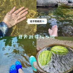 一茶一坐农庄 User Photo