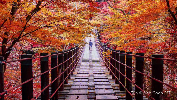 Hananuki Gorge