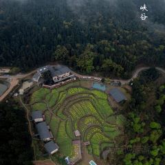 巴谷宿集 User Photo